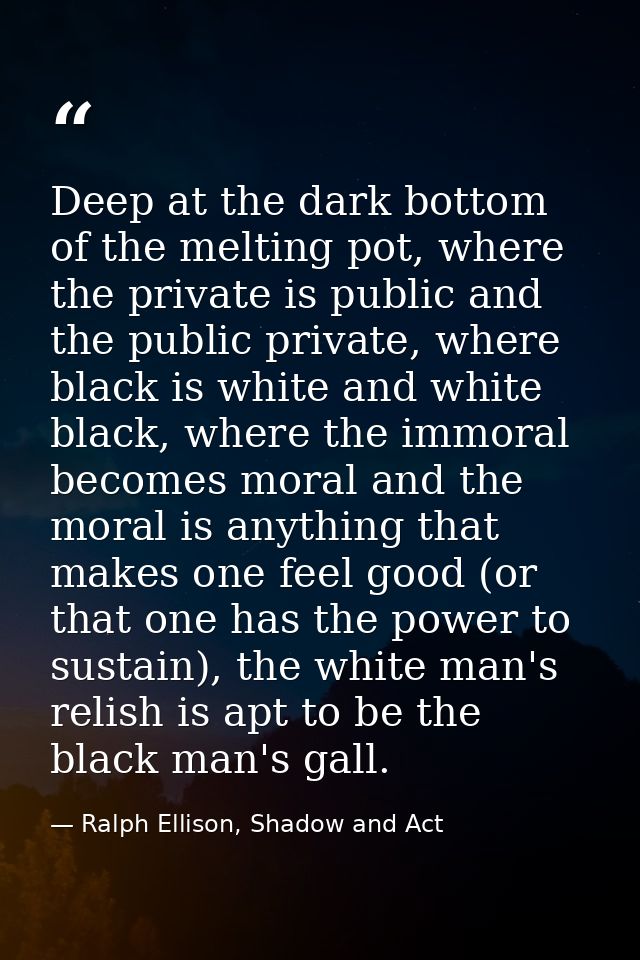 Deep at the dark bottom of the melting pot, where the private is public and the public private, where black is white and — Ralph Ellison, Shadow and Act
