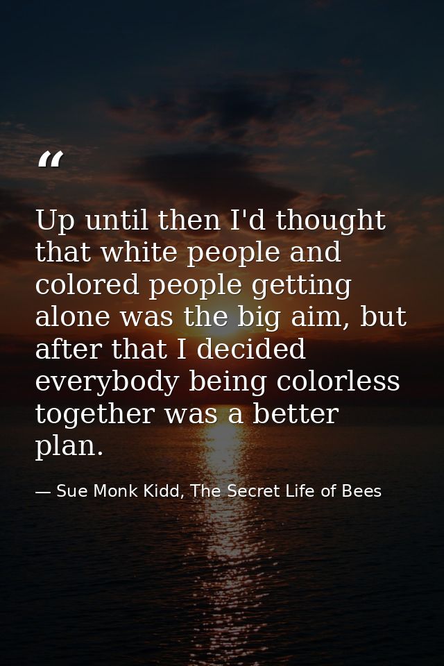 Up until then I'd thought that white people and colored people getting alone was the big aim, but after that I decided e — Sue Monk Kidd, The Secret Life of Bees