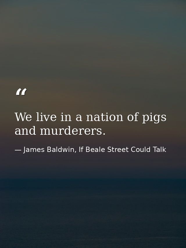 We live in a nation of pigs and murderers. — James Baldwin, If Beale Street Could Talk