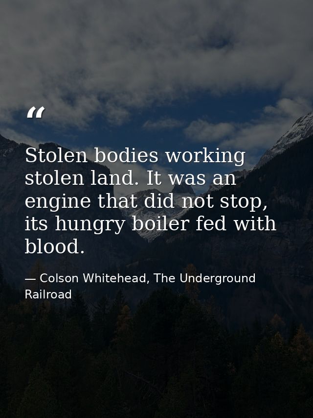 Stolen bodies working stolen land. It was an engine that did not stop, its hungry boiler fed with blood. — Colson Whitehead, The Underground Railroad
