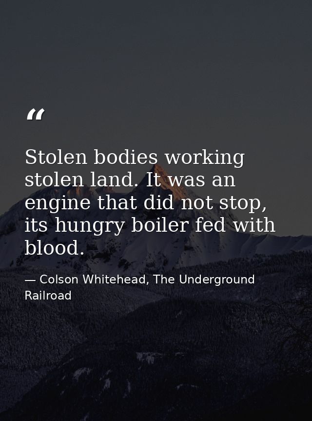 Stolen bodies working stolen land. It was an engine that did not stop, its hungry boiler fed with blood. — Colson Whitehead, The Underground Railroad