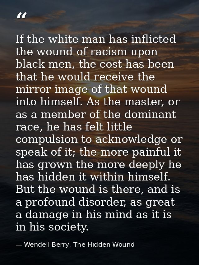 If the white man has inflicted the wound of racism upon black men, the cost has been that he would receive the mirror im — Wendell Berry, The Hidden Wound