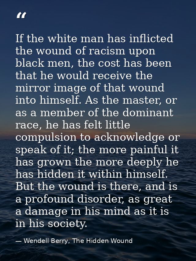 If the white man has inflicted the wound of racism upon black men, the cost has been that he would receive the mirror im — Wendell Berry, The Hidden Wound