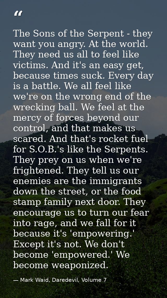 The Sons of the Serpent - they want you angry. At the world. They need us all to feel like victims. And it's an easy get — Mark Waid, Daredevil, Volume 7
