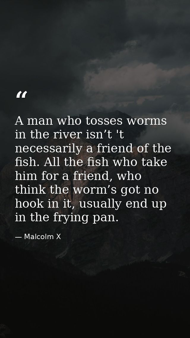 A man who tosses worms in the river isn’t 't necessarily a friend of the fish. All the fish who take him for a friend, w — Malcolm X