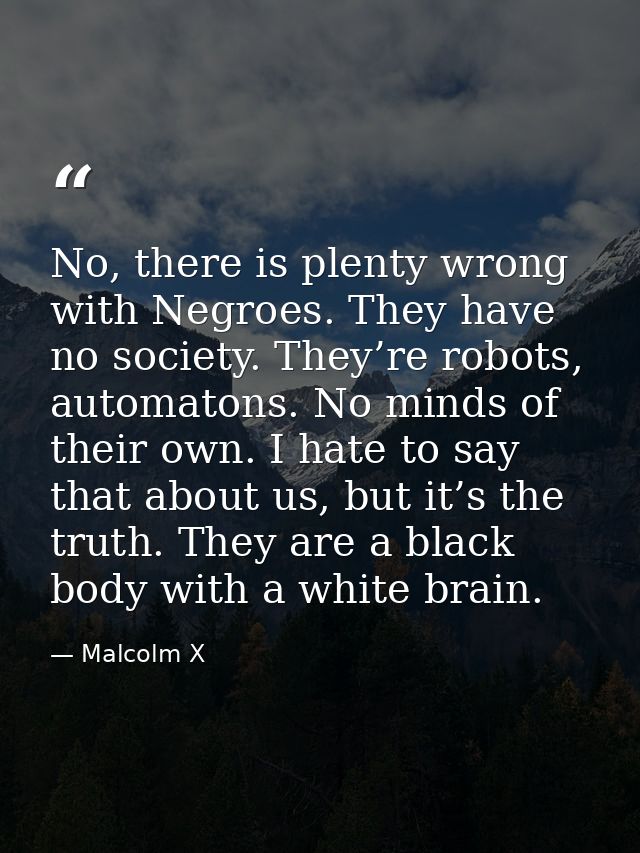 No, there is plenty wrong with Negroes. They have no society. They’re robots, automatons. No minds of their own. I hate  — Malcolm X