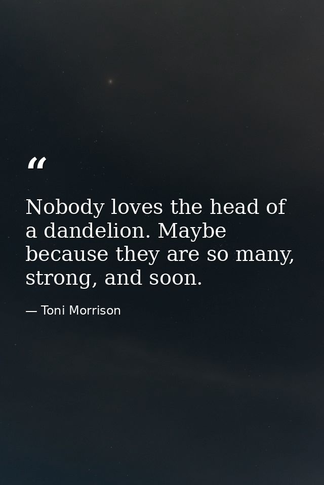 Nobody loves the head of a dandelion. Maybe because they are so many, strong, and soon. — Toni Morrison