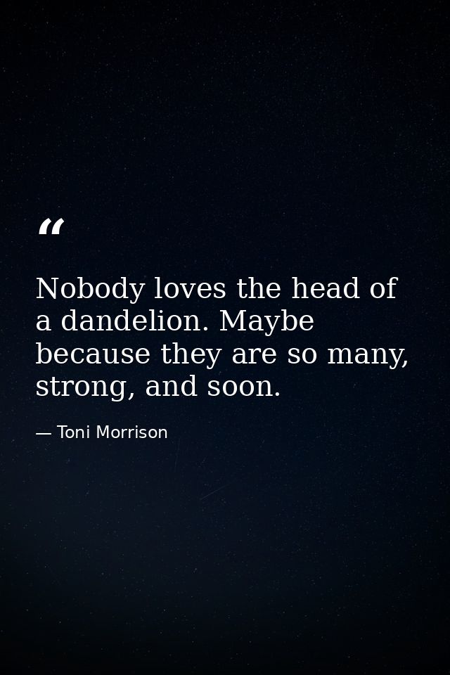 Nobody loves the head of a dandelion. Maybe because they are so many, strong, and soon. — Toni Morrison
