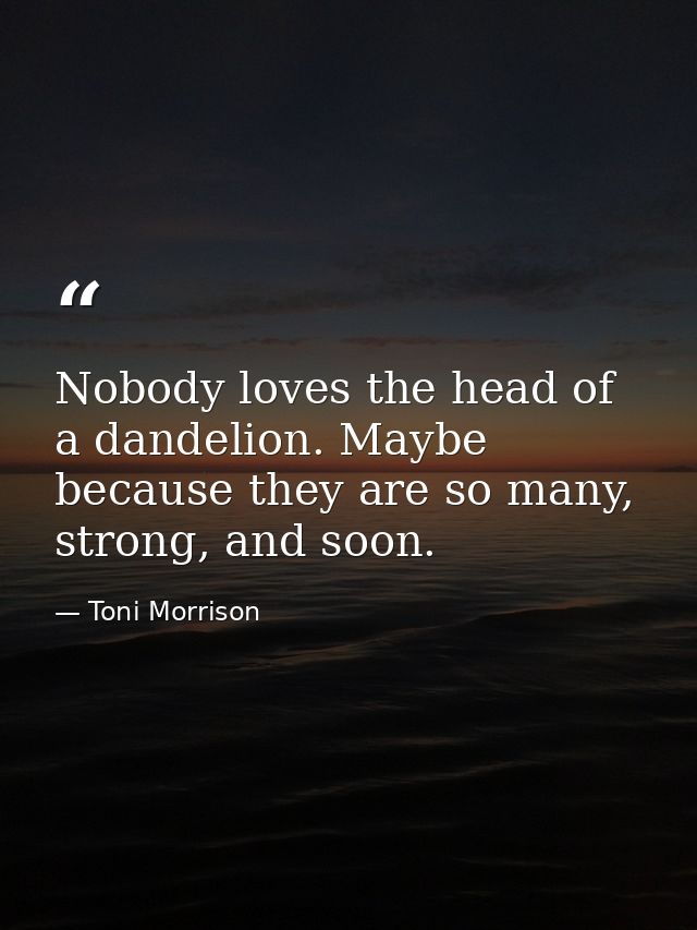Nobody loves the head of a dandelion. Maybe because they are so many, strong, and soon. — Toni Morrison