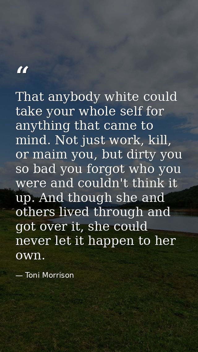 That anybody white could take your whole self for anything that came to mind. Not just work, kill, or maim you, but dirt — Toni Morrison