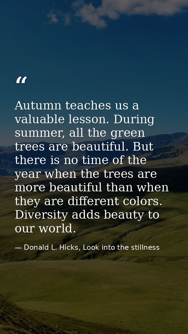 Autumn teaches us a valuable lesson. During summer, all the green trees are beautiful. But there is no time of the year  — Donald L. Hicks, Look into the stillness