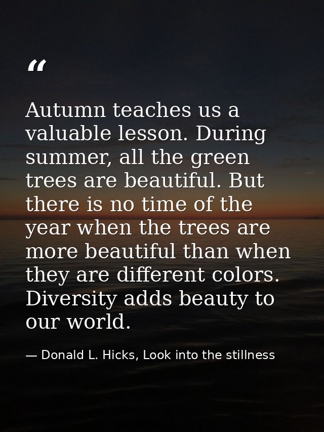 Autumn teaches us a valuable lesson. During summer, all the green trees are beautiful. But there is no time of the year  — Donald L. Hicks, Look into the stillness