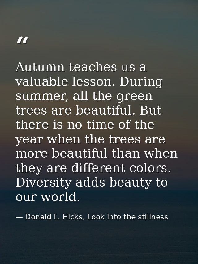 Autumn teaches us a valuable lesson. During summer, all the green trees are beautiful. But there is no time of the year  — Donald L. Hicks, Look into the stillness
