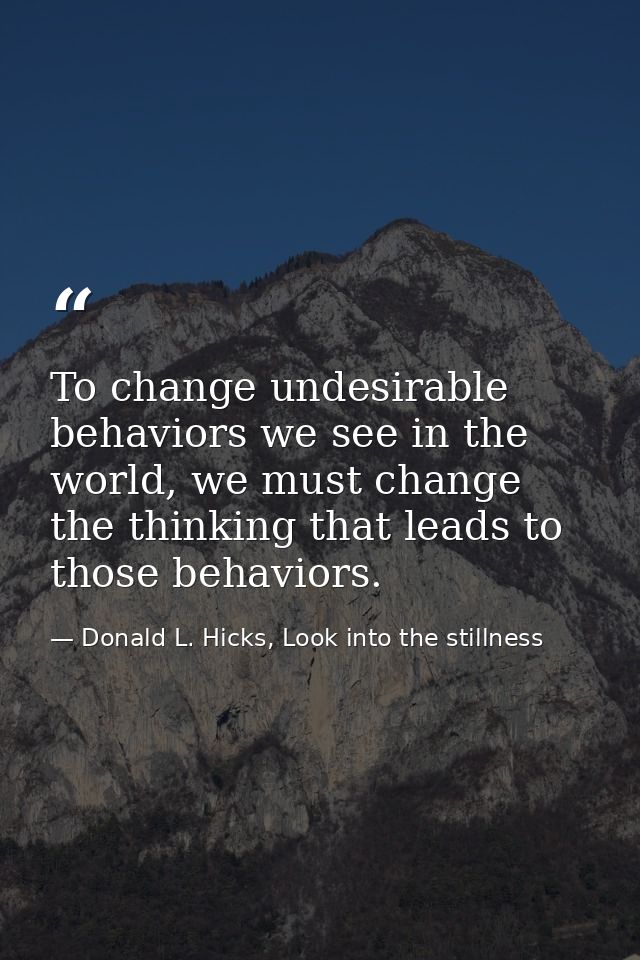 To change undesirable behaviors we see in the world, we must change the thinking that leads to those behaviors. — Donald L. Hicks, Look into the stillness
