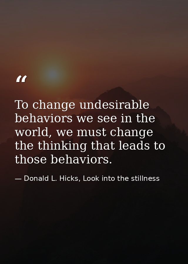 To change undesirable behaviors we see in the world, we must change the thinking that leads to those behaviors. — Donald L. Hicks, Look into the stillness