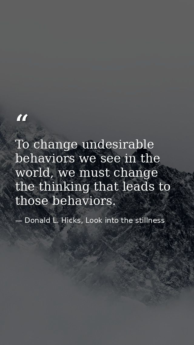 To change undesirable behaviors we see in the world, we must change the thinking that leads to those behaviors. — Donald L. Hicks, Look into the stillness