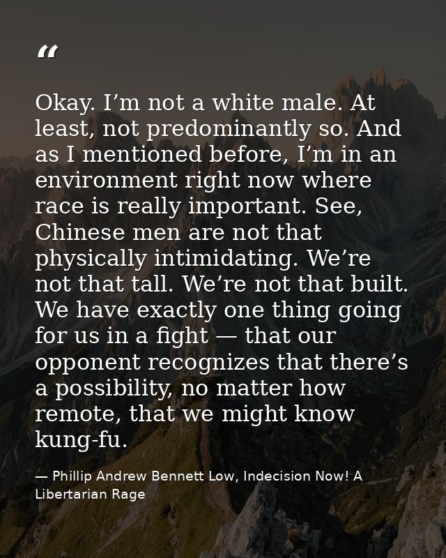 Okay. I’m not a white male. At least, not predominantly so. And as I mentioned before, I’m in an environment right now w — Phillip Andrew Bennett Low, Indecision Now! A Libertarian Rage