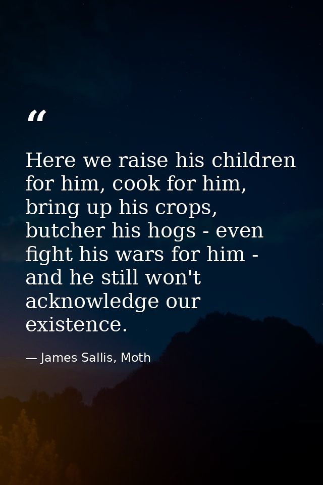 Here we raise his children for him, cook for him, bring up his crops, butcher his hogs - even fight his wars for him - a — James Sallis, Moth