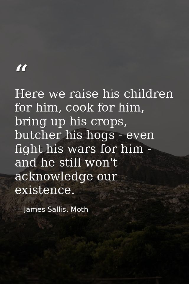 Here we raise his children for him, cook for him, bring up his crops, butcher his hogs - even fight his wars for him - a — James Sallis, Moth
