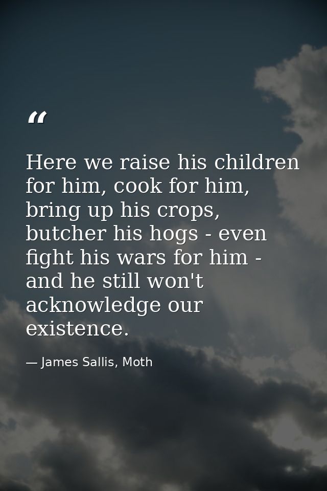 Here we raise his children for him, cook for him, bring up his crops, butcher his hogs - even fight his wars for him - a — James Sallis, Moth