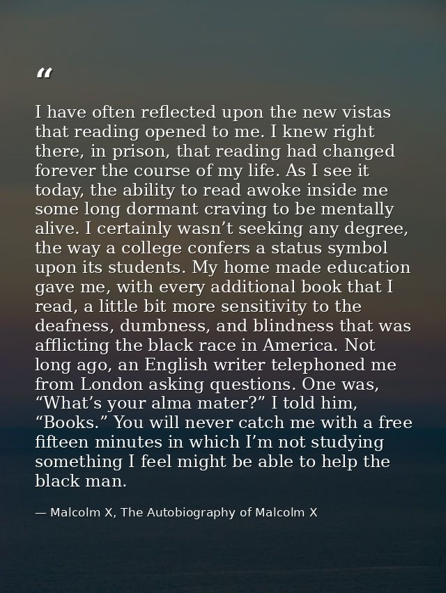 I have often reflected upon the new vistas that reading opened to me. I knew right there, in prison, that reading had ch — Malcolm X, The Autobiography of Malcolm X