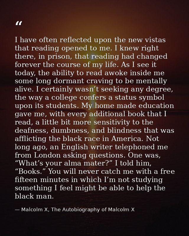 I have often reflected upon the new vistas that reading opened to me. I knew right there, in prison, that reading had ch — Malcolm X, The Autobiography of Malcolm X