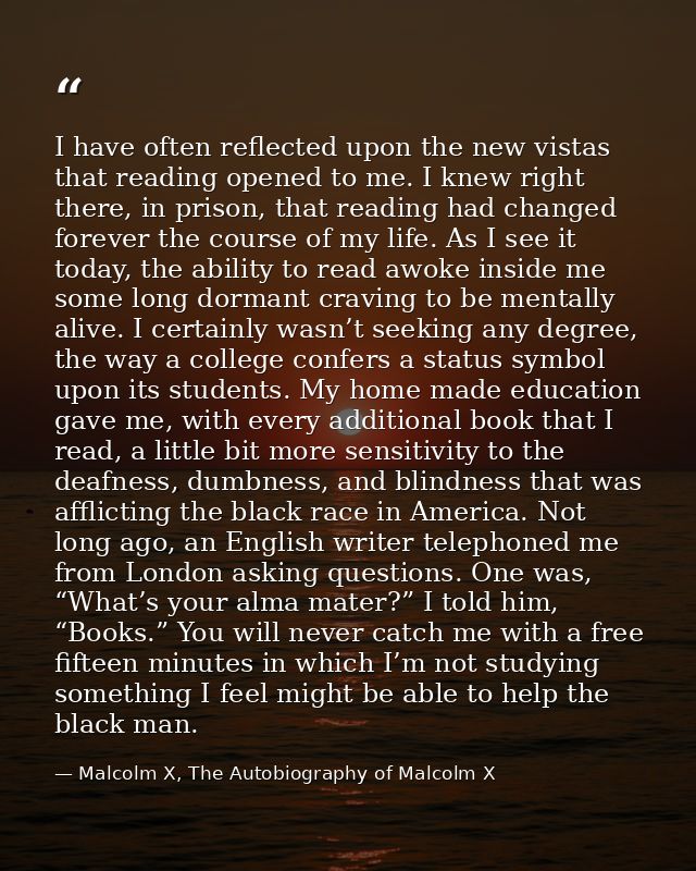 I have often reflected upon the new vistas that reading opened to me. I knew right there, in prison, that reading had ch — Malcolm X, The Autobiography of Malcolm X