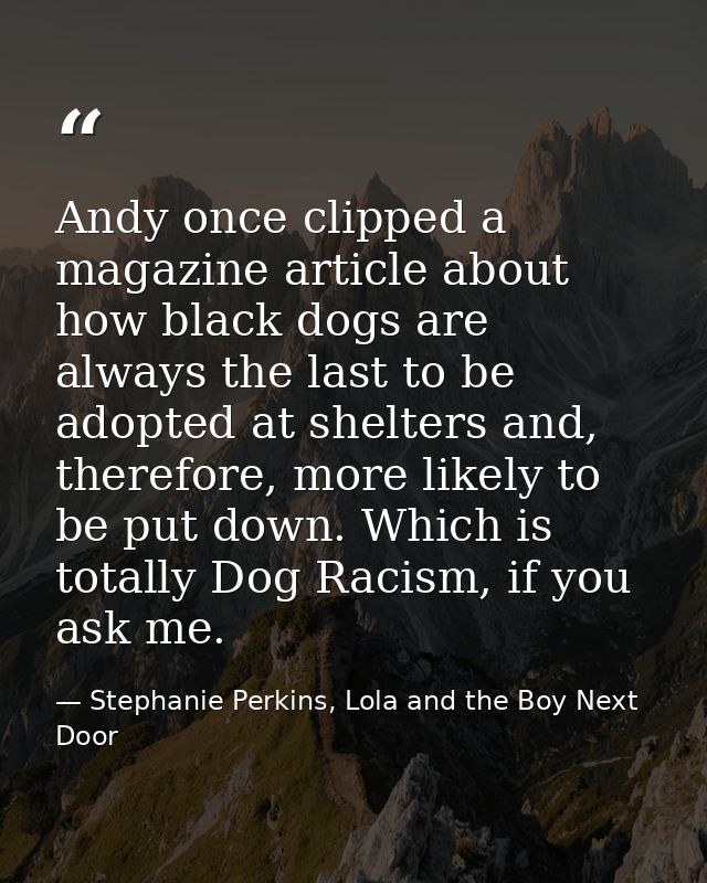 Andy once clipped a magazine article about how black dogs are always the last to be adopted at shelters and, therefore,  — Stephanie Perkins, Lola and the Boy Next Door