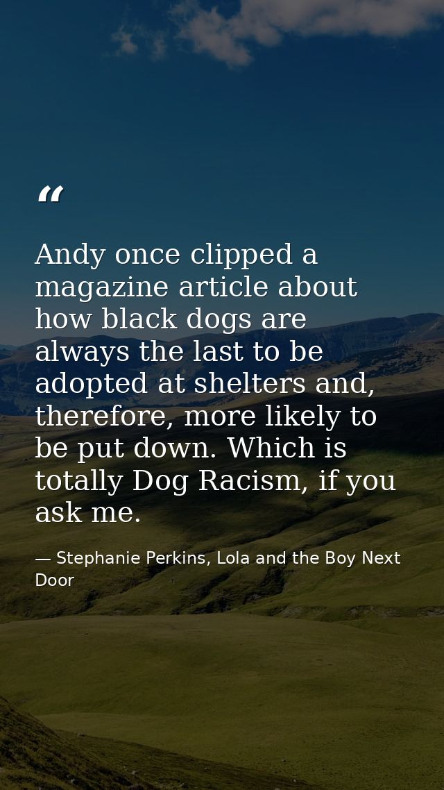Andy once clipped a magazine article about how black dogs are always the last to be adopted at shelters and, therefore,  — Stephanie Perkins, Lola and the Boy Next Door