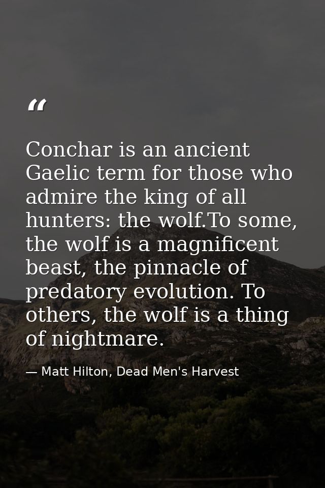 Conchar is an ancient Gaelic term for those who admire the king of all hunters: the wolf.To some, the wolf is a magnific — Matt Hilton, Dead Men's Harvest