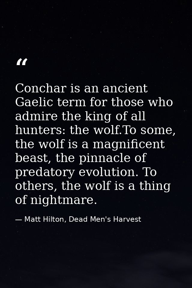 Conchar is an ancient Gaelic term for those who admire the king of all hunters: the wolf.To some, the wolf is a magnific — Matt Hilton, Dead Men's Harvest