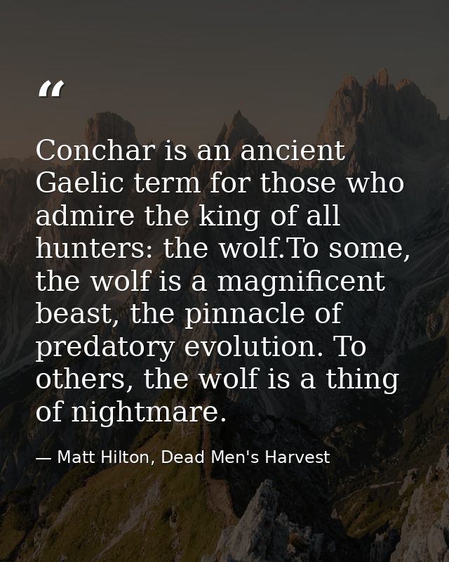Conchar is an ancient Gaelic term for those who admire the king of all hunters: the wolf.To some, the wolf is a magnific — Matt Hilton, Dead Men's Harvest