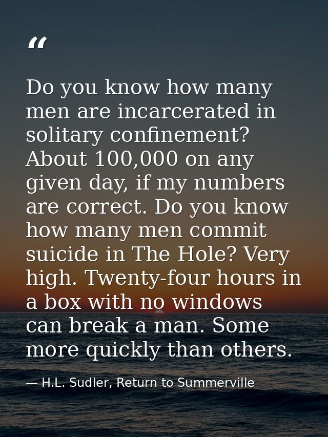 Do you know how many men are incarcerated in solitary confinement? About 100,000 on any given day, if my numbers are cor — H.L. Sudler, Return to Summerville