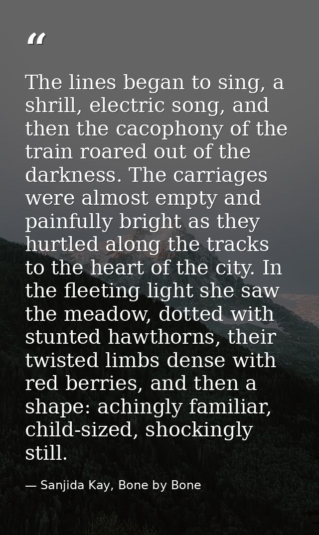 The lines began to sing, a shrill, electric song, and then the cacophony of the train roared out of the darkness. The ca — Sanjida Kay, Bone by Bone