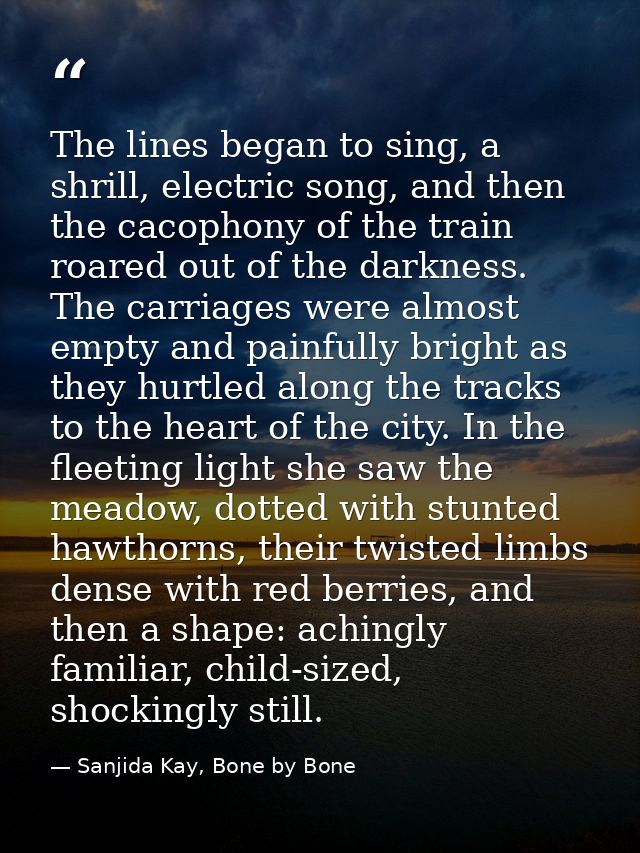 The lines began to sing, a shrill, electric song, and then the cacophony of the train roared out of the darkness. The ca — Sanjida Kay, Bone by Bone