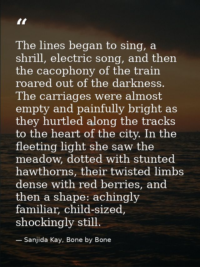 The lines began to sing, a shrill, electric song, and then the cacophony of the train roared out of the darkness. The ca — Sanjida Kay, Bone by Bone