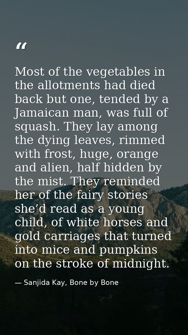 Most of the vegetables in the allotments had died back but one, tended by a Jamaican man, was full of squash. They lay a — Sanjida Kay, Bone by Bone