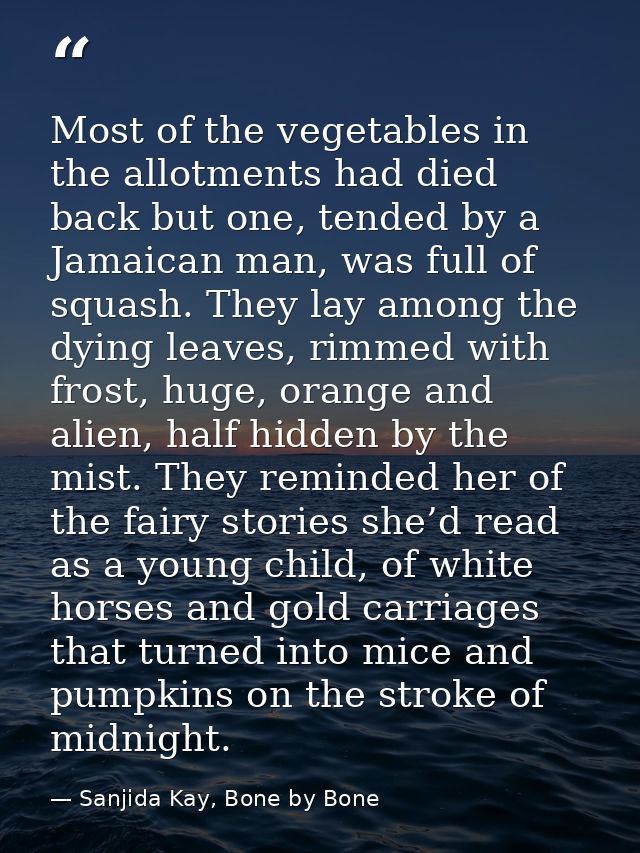 Most of the vegetables in the allotments had died back but one, tended by a Jamaican man, was full of squash. They lay a — Sanjida Kay, Bone by Bone