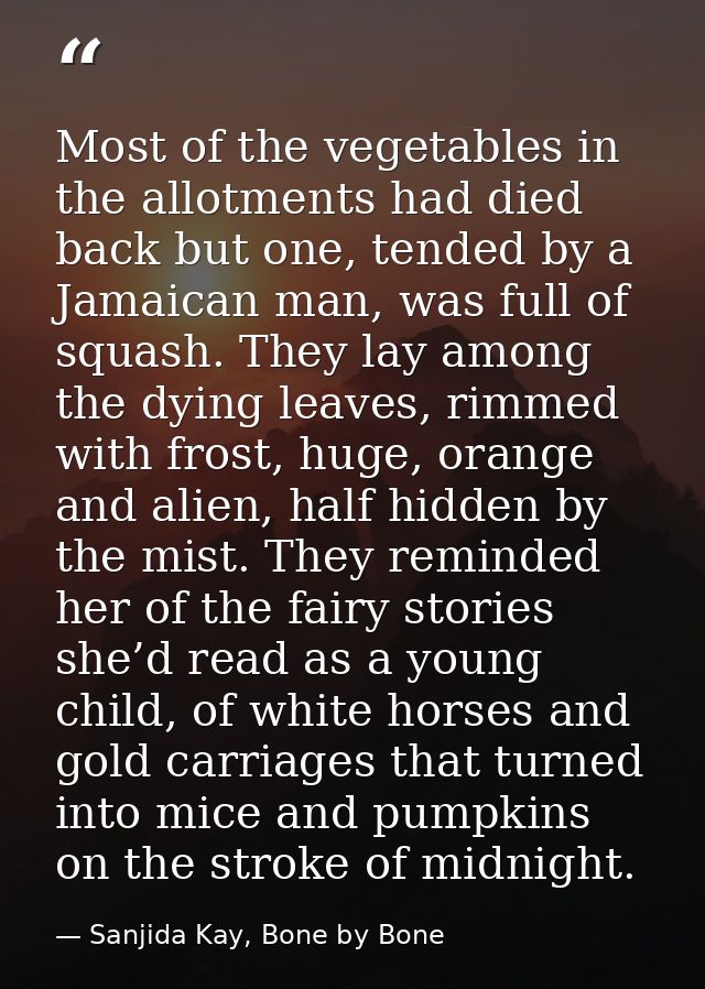 Most of the vegetables in the allotments had died back but one, tended by a Jamaican man, was full of squash. They lay a — Sanjida Kay, Bone by Bone
