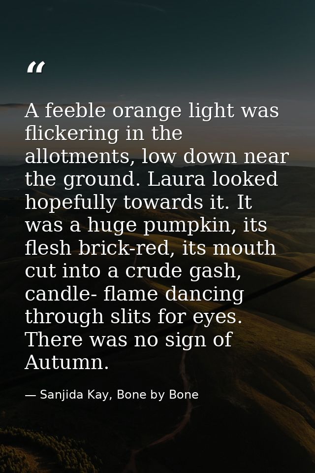 A feeble orange light was flickering in the allotments, low down near the ground. Laura looked hopefully towards it. It  — Sanjida Kay, Bone by Bone