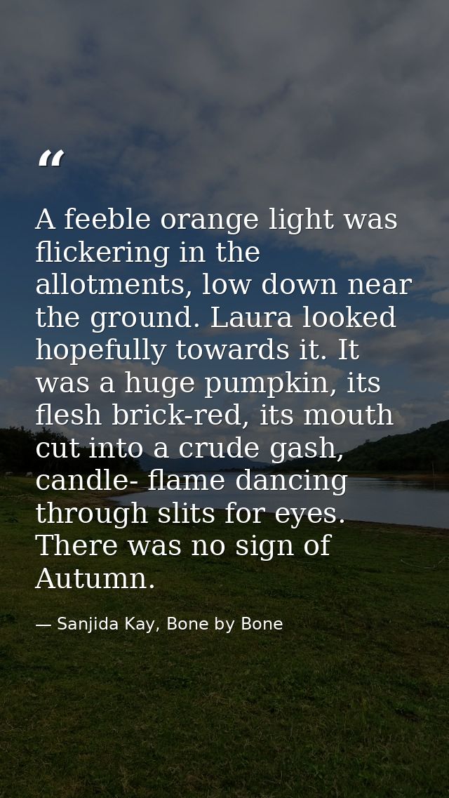 A feeble orange light was flickering in the allotments, low down near the ground. Laura looked hopefully towards it. It  — Sanjida Kay, Bone by Bone