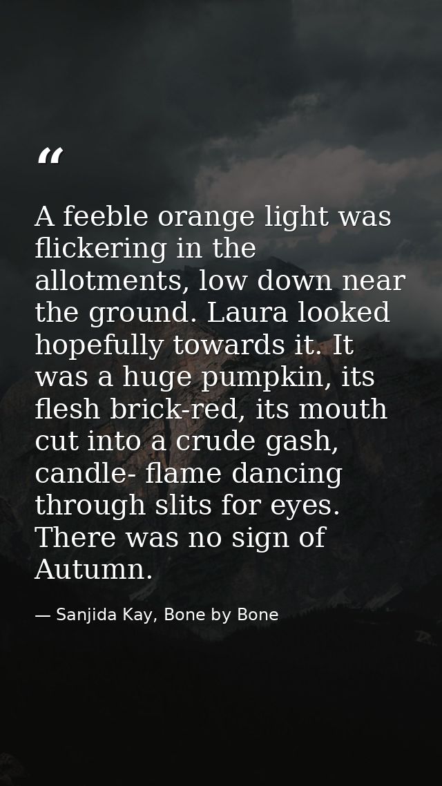 A feeble orange light was flickering in the allotments, low down near the ground. Laura looked hopefully towards it. It  — Sanjida Kay, Bone by Bone