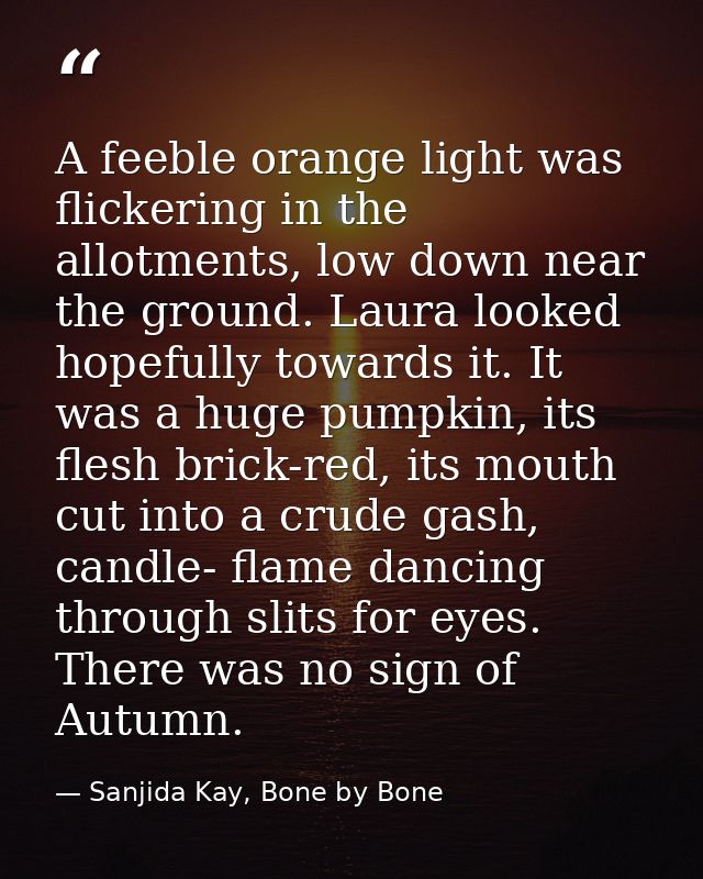 A feeble orange light was flickering in the allotments, low down near the ground. Laura looked hopefully towards it. It  — Sanjida Kay, Bone by Bone