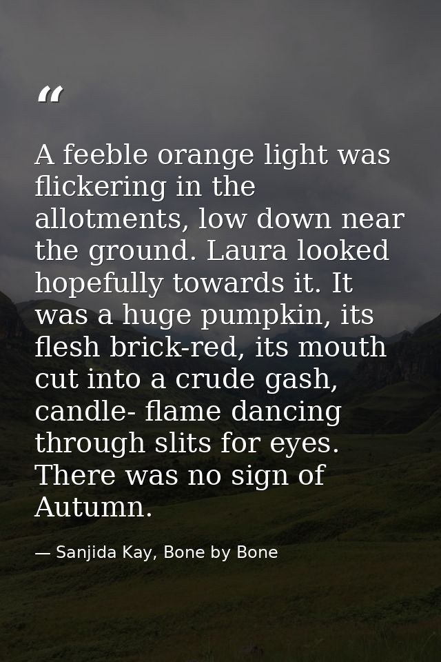 A feeble orange light was flickering in the allotments, low down near the ground. Laura looked hopefully towards it. It  — Sanjida Kay, Bone by Bone