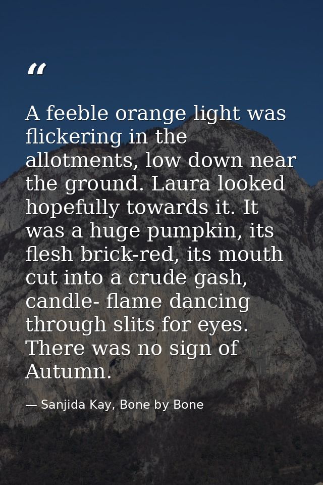 A feeble orange light was flickering in the allotments, low down near the ground. Laura looked hopefully towards it. It  — Sanjida Kay, Bone by Bone