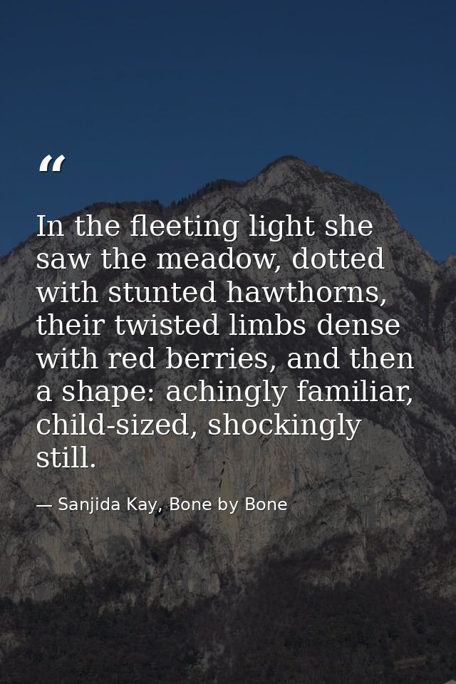 In the fleeting light she saw the meadow, dotted with stunted hawthorns, their twisted limbs dense with red berries, and — Sanjida Kay, Bone by Bone