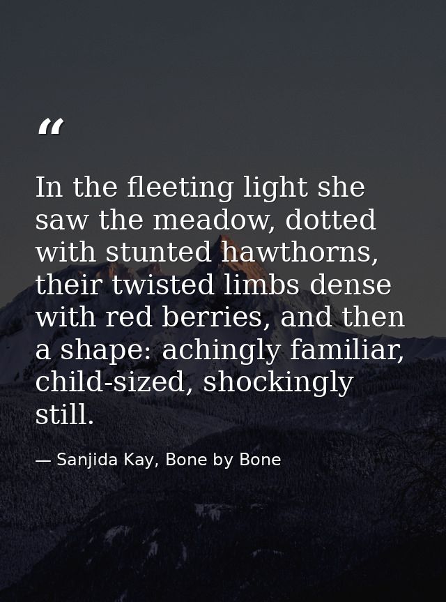 In the fleeting light she saw the meadow, dotted with stunted hawthorns, their twisted limbs dense with red berries, and — Sanjida Kay, Bone by Bone