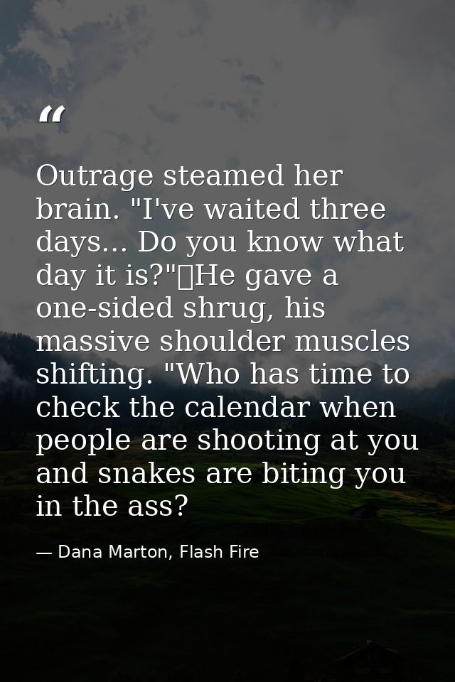 Outrage steamed her brain. "I've waited three days... Do you know what day it is?"	He gave a one-sided shrug, his massiv — Dana Marton, Flash Fire