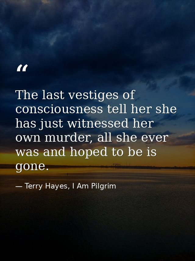 The last vestiges of consciousness tell her she has just witnessed her own murder, all she ever was and hoped to be is g — Terry Hayes, I Am Pilgrim