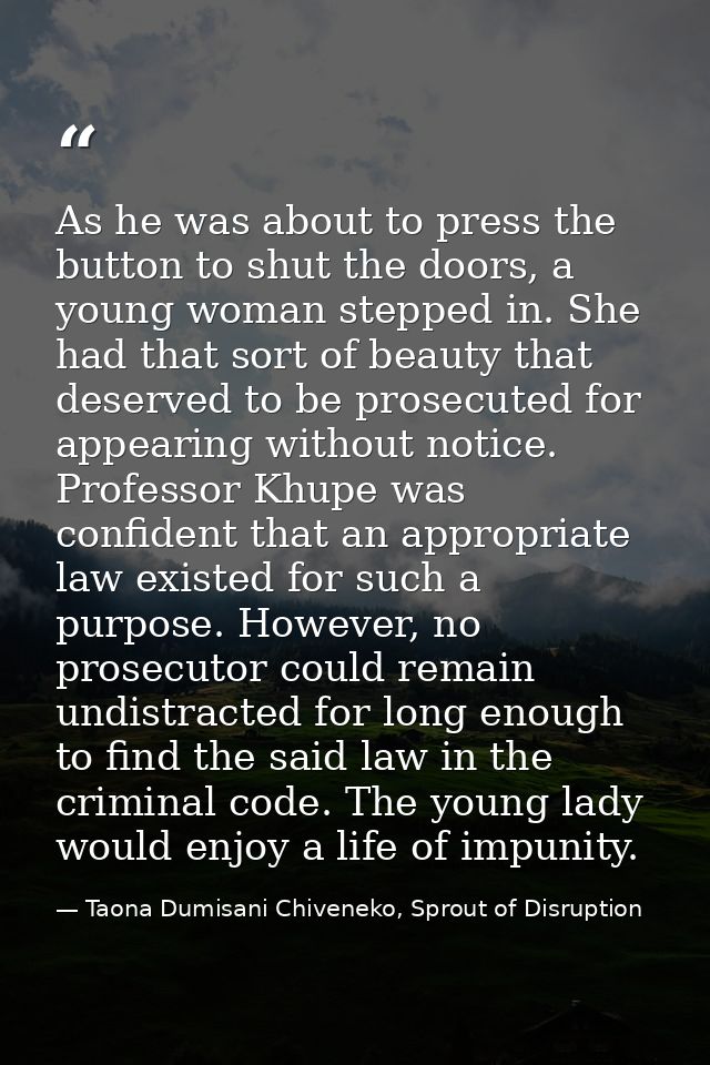 As he was about to press the button to shut the doors, a young woman stepped in. She had that sort of beauty that deserv — Taona Dumisani Chiveneko, Sprout of Disruption